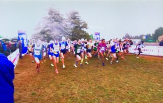TOP-RUNNER-002