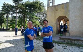 sardi-5